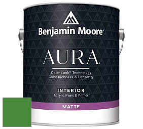 Benjamin Moore Aura 522 Interior Paint - Matte краска цвет 2033-10 Yellow Green