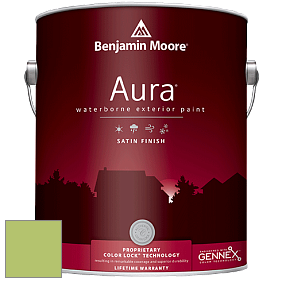 Benjamin Moore Aura 631 Waterborne Exterior Satin Finish краска цвет 2029-40 Stem Green