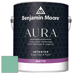 Benjamin Moore Aura 522 Interior Paint - Matte краска цвет NCS S 2030-B90G 