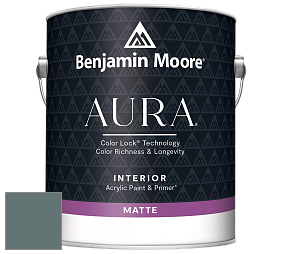 Benjamin Moore Aura 522 Interior Paint - Matte краска цвет NCS S 6010-B50G 