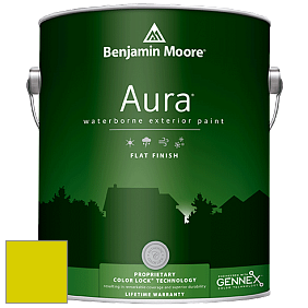 Benjamin Moore Aura 629 Waterborne Exterior Flat Finish краска цвет 2025-30 New Lime