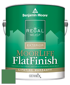 Benjamin Moore W105 Regal Select Exterior Paint-MoorLife Flat Finish краска цвет 2035-30 Nile Green