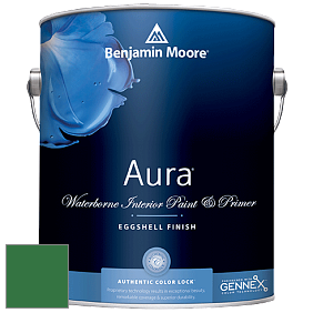 Benjamin Moore Aura 524 Waterborne Interior Eggshell Finish краска цвет 2037-10 Amazon Moss