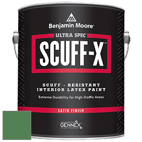 Benjamin Moore 486 Ultra Spec SCUFF-X Interior Satin Finish краска цвет 2036-20 Irish Moss