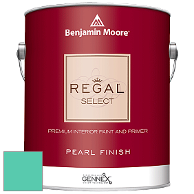 Benjamin Moore 550 Regal Select Waterborne Interior Pearl Finish краска цвет NCS S 1050-B80G 