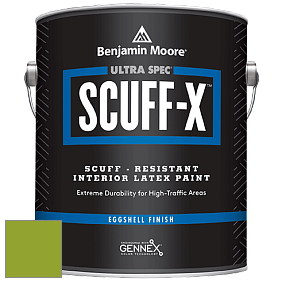 Benjamin Moore 485 Ultra Spec SCUFF-X Interior Eggshell Finish краска цвет 2028-20 Douglas Fir