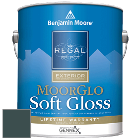 Benjamin Moore W096 Regal Select Exterior Paint-Moor GloSoft Gloss Finish краска цвет 2049-10 Pacific Sea Teal