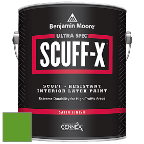 Benjamin Moore 486 Ultra Spec SCUFF-X Interior Satin Finish краска цвет 2030-10 Lizard Green