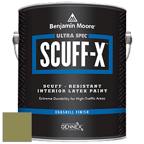 Benjamin Moore 485 Ultra Spec SCUFF-X Interior Eggshell Finish краска цвет 2145-20 Terrapin Green