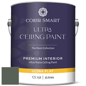 COLOR SMART CS 758 ULTRA CEILING PAINT ультраматовая краска цвет 448 Dakota Shadow