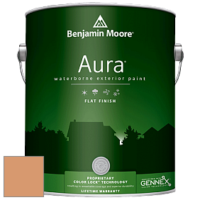 Benjamin Moore Aura 629 Waterborne Exterior Flat Finish краска цвет 2166-40 Soft Pumpkin