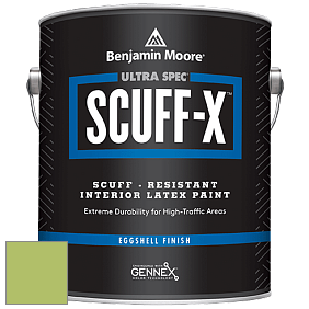 Benjamin Moore 485 Ultra Spec SCUFF-X Interior Eggshell Finish краска цвет 412 Springhill Green