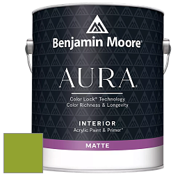 Benjamin Moore Aura 522 Interior Paint - Matte краска цвет 2028-20 Douglas Fir