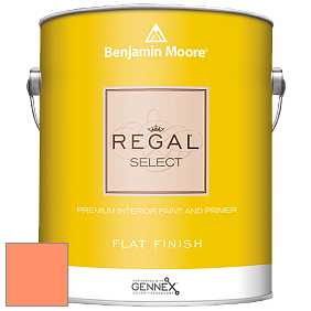 Benjamin Moore 547 Regal Select Waterborne Interior Flat Finish краска цвет NCS S 0560-Y60R 
