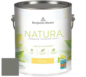 Benjamin Moore 512 Natura Interior Flat Finish матовая краска цвет NCS S 6005-G50Y 