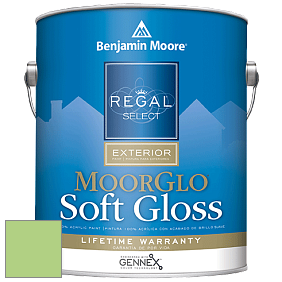 Benjamin Moore W096 Regal Select Exterior Paint-Moor GloSoft Gloss Finish краска цвет 557 Leprechaun Green
