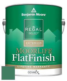 Benjamin Moore W105 Regal Select Exterior Paint-MoorLife Flat Finish краска цвет 2040-30 Very Green