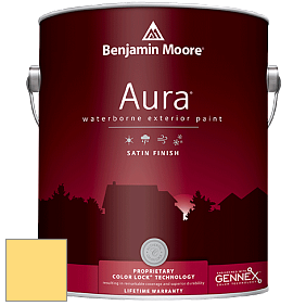 Benjamin Moore Aura 631 Waterborne Exterior Satin Finish краска цвет 361 No-Nonsense