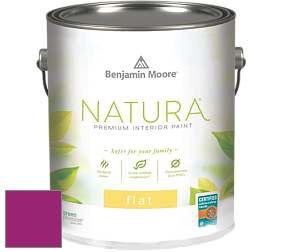 Benjamin Moore 512 Natura Interior Flat Finish матовая краска цвет RAL 4006 