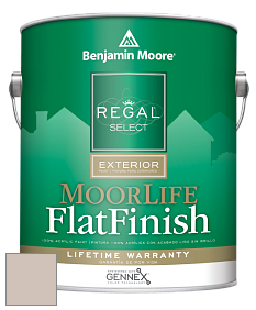 Benjamin Moore W105 Regal Select Exterior Paint-MoorLife Flat Finish краска цвет 989 Alphano Beige
