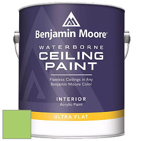 Benjamin Moore 508 Waterborne Ceiling Paint краска для потолков цвет NCS S 0560-G30Y 