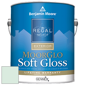 Benjamin Moore W096 Regal Select Exterior Paint-Moor GloSoft Gloss Finish краска цвет 849 Carried Away