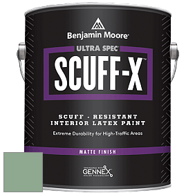 Benjamin Moore 484 Ultra Spec SCUFF-X Interior Matte Finish краска цвет HC-129 BM HC-129