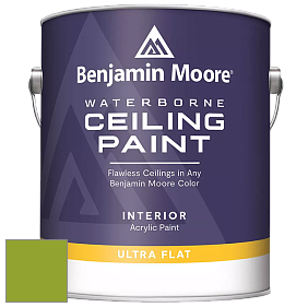 Benjamin Moore 508 Waterborne Ceiling Paint краска для потолков цвет 2028-20 Douglas Fir
