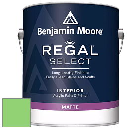 Benjamin Moore 548 IRegal Select Interior Paint - Matte краска цвет NCS S 0560-G20Y 