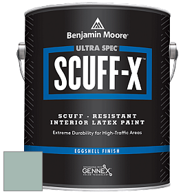 Benjamin Moore 485 Ultra Spec SCUFF-X Interior Eggshell Finish краска цвет AC-19 BM AC-19