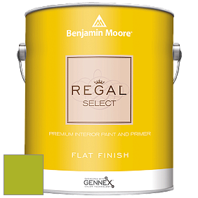 Benjamin Moore 547 Regal Select Waterborne Interior Flat Finish краска цвет NCS S 1075-G50Y 