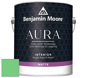 Benjamin Moore Aura 522 Interior Paint - Matte краска цвет NCS S 0560-G10Y 