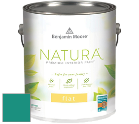 Benjamin Moore 512 Natura Interior Flat Finish матовая краска цвет NCS S 3050-B70G 