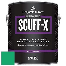 Benjamin Moore 484 Ultra Spec SCUFF-X Interior Matte Finish краска цвет NCS S 1565-G 