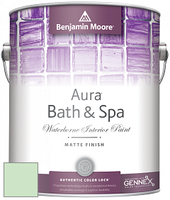 Benjamin Moore Aura 532 Bath & Spa Waterborne Interior Paint Matte Finish краска цвет 569 Nottingham Green