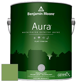 Benjamin Moore Aura 629 Waterborne Exterior Flat Finish краска цвет 552 Pleasant Grove