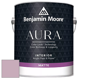 Benjamin Moore Aura 522 Interior Paint - Matte краска цвет NCS S 2020-R30B 