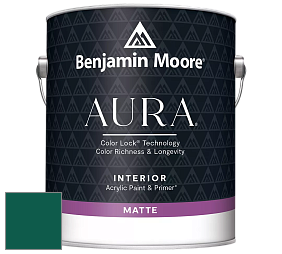 Benjamin Moore Aura 522 Interior Paint - Matte краска цвет NCS S 5540-B80G 