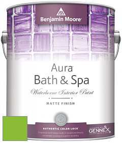 Benjamin Moore Aura 532 Bath & Spa Waterborne Interior Paint Matte Finish краска цвет NCS S 0580-G30Y 