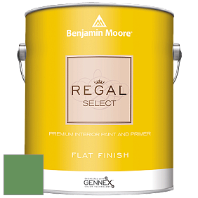 Benjamin Moore 547 Regal Select Waterborne Interior Flat Finish краска цвет NCS S 3050-G20Y 