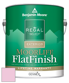 Benjamin Moore W105 Regal Select Exterior Paint-MoorLife Flat Finish краска цвет 2086-60 Sweet Taffy