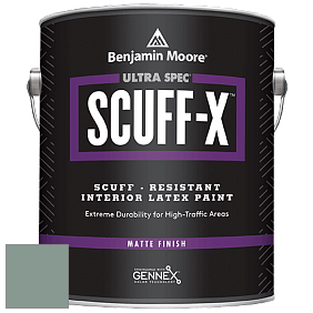 Benjamin Moore 484 Ultra Spec SCUFF-X Interior Matte Finish краска цвет NCS S 4010-B90G 