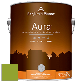 Benjamin Moore Aura 634 Waterborne Exterior Low Lustre Finish краска цвет 2028-20 Douglas Fir