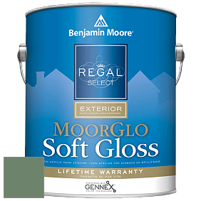 Benjamin Moore W096 Regal Select Exterior Paint-Moor GloSoft Gloss Finish краска цвет 629 Weeping Willow