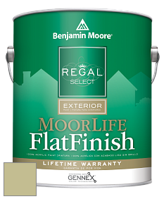 Benjamin Moore W105 Regal Select Exterior Paint-MoorLife Flat Finish краска цвет AF-415 