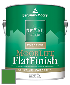 Benjamin Moore W105 Regal Select Exterior Paint-MoorLife Flat Finish краска цвет 2033-10 Yellow Green