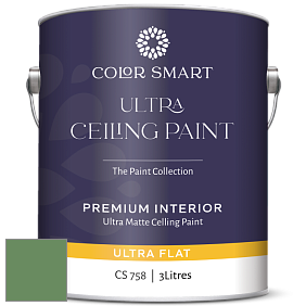 COLOR SMART CS 758 ULTRA CEILING PAINT ультраматовая краска цвет 566 Bunker Hill Green