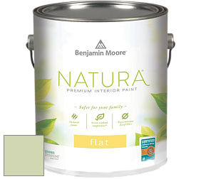 Benjamin Moore 512 Natura Interior Flat Finish матовая краска цвет 541 Veranda View