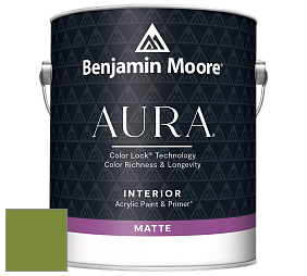 Benjamin Moore Aura 522 Interior Paint - Matte краска цвет NCS S 3060-G40Y 
