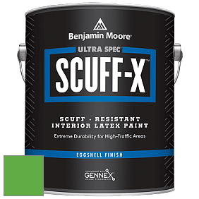 Benjamin Moore 485 Ultra Spec SCUFF-X Interior Eggshell Finish краска цвет NCS S 1075-G20Y 